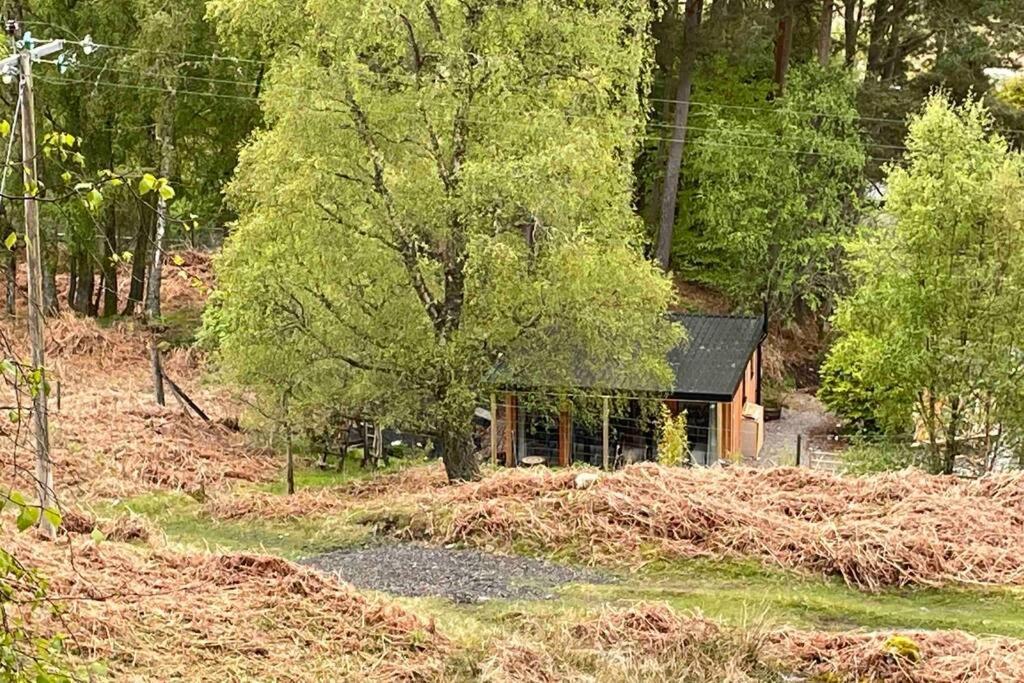 Coorie Doon Cabin! Great Scottish Welcome Fort Augustus Exterior foto